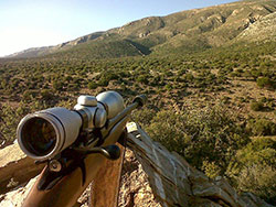 Hunt African Safaris