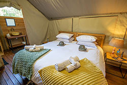 Luxury Tented Room