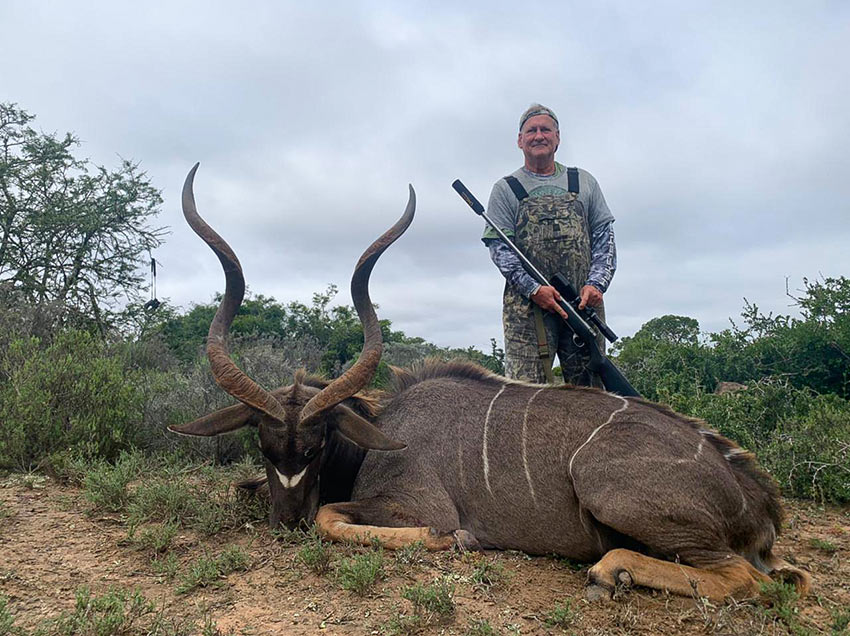 Kudu Bull