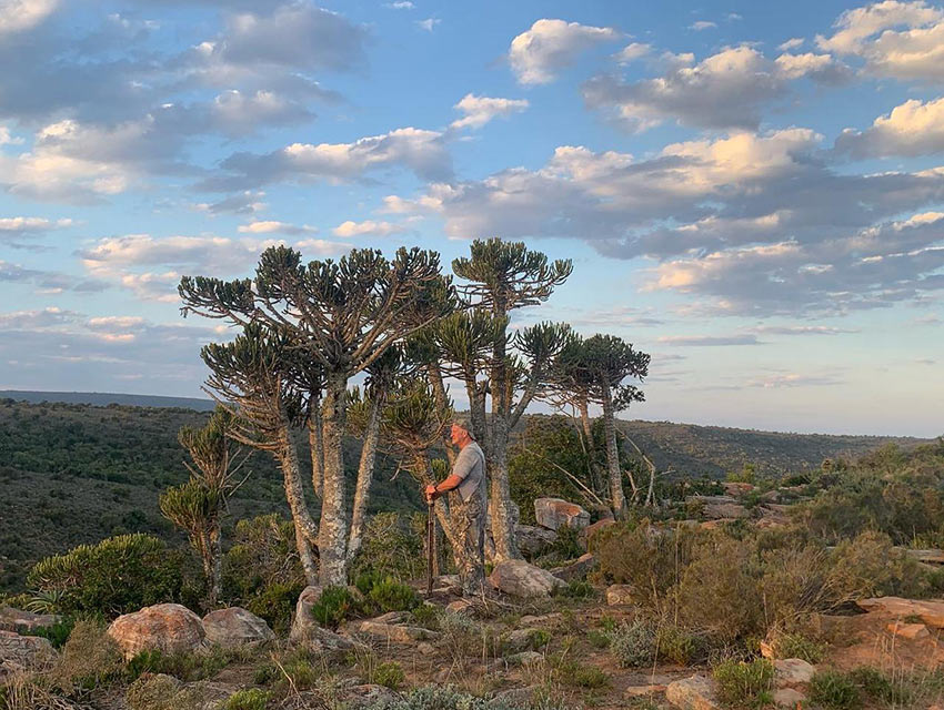 Glassing the hills for antelope