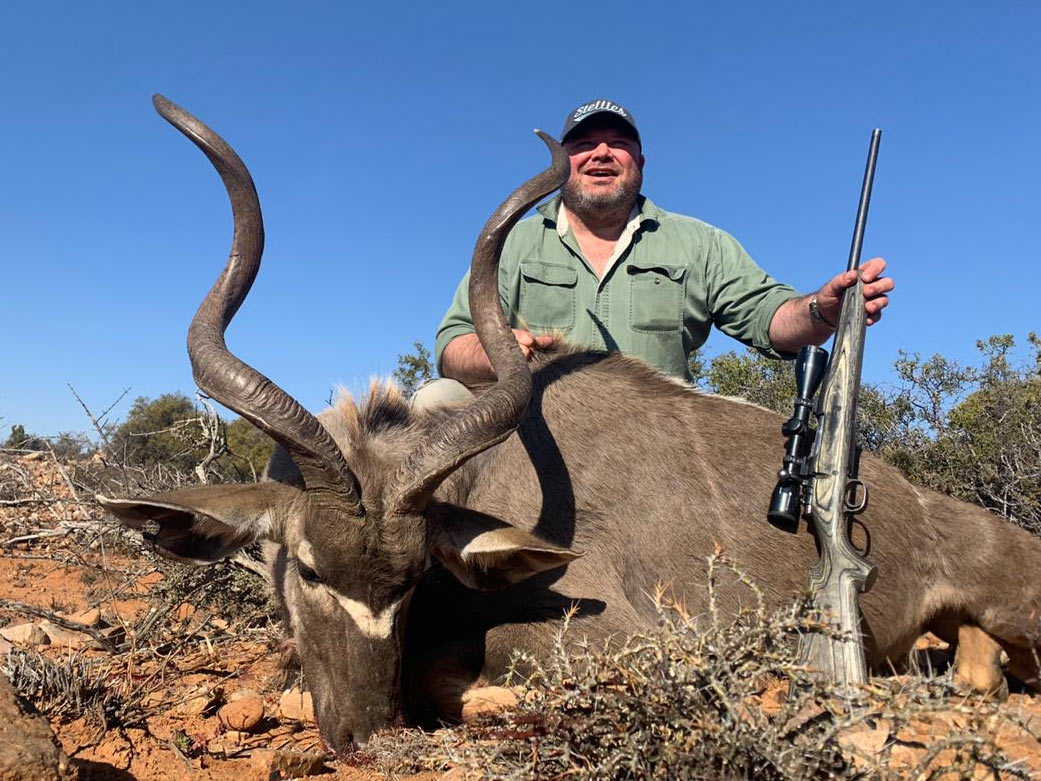 Kudu Bull