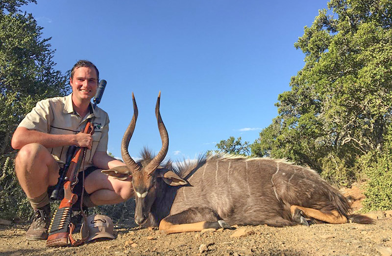 Old Nyala Trophy Bull